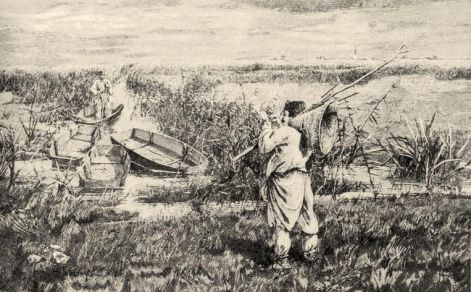 seminol did seminole indians use radieos